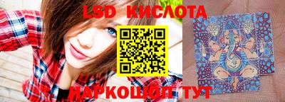 спиды Гатчина