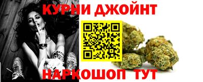 спиды Гатчина