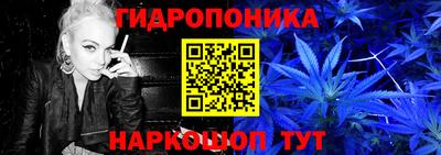 молекула духа Гагарин