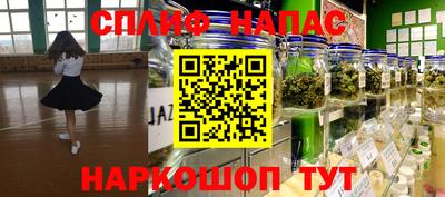 молекула духа Гагарин