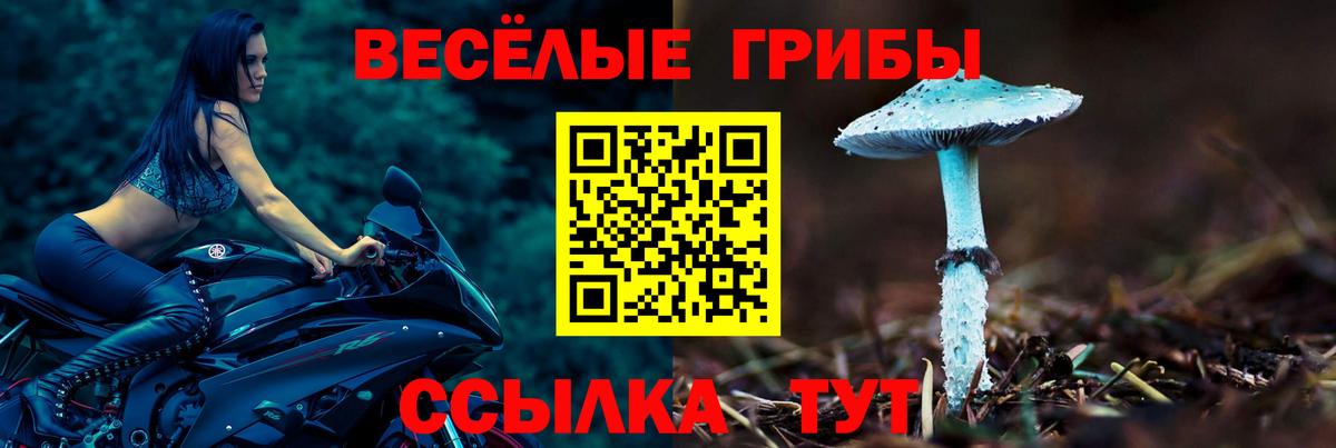 Галлюциногенные грибы Cubensis Красноярск